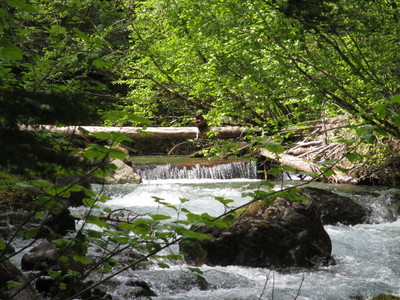ladyfalls river